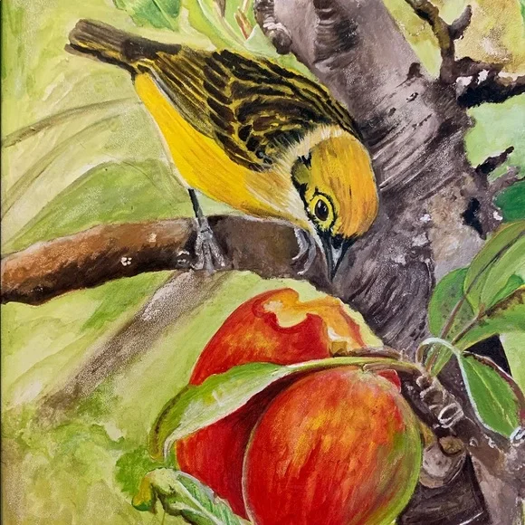 Handmade Original Bird EatingMango